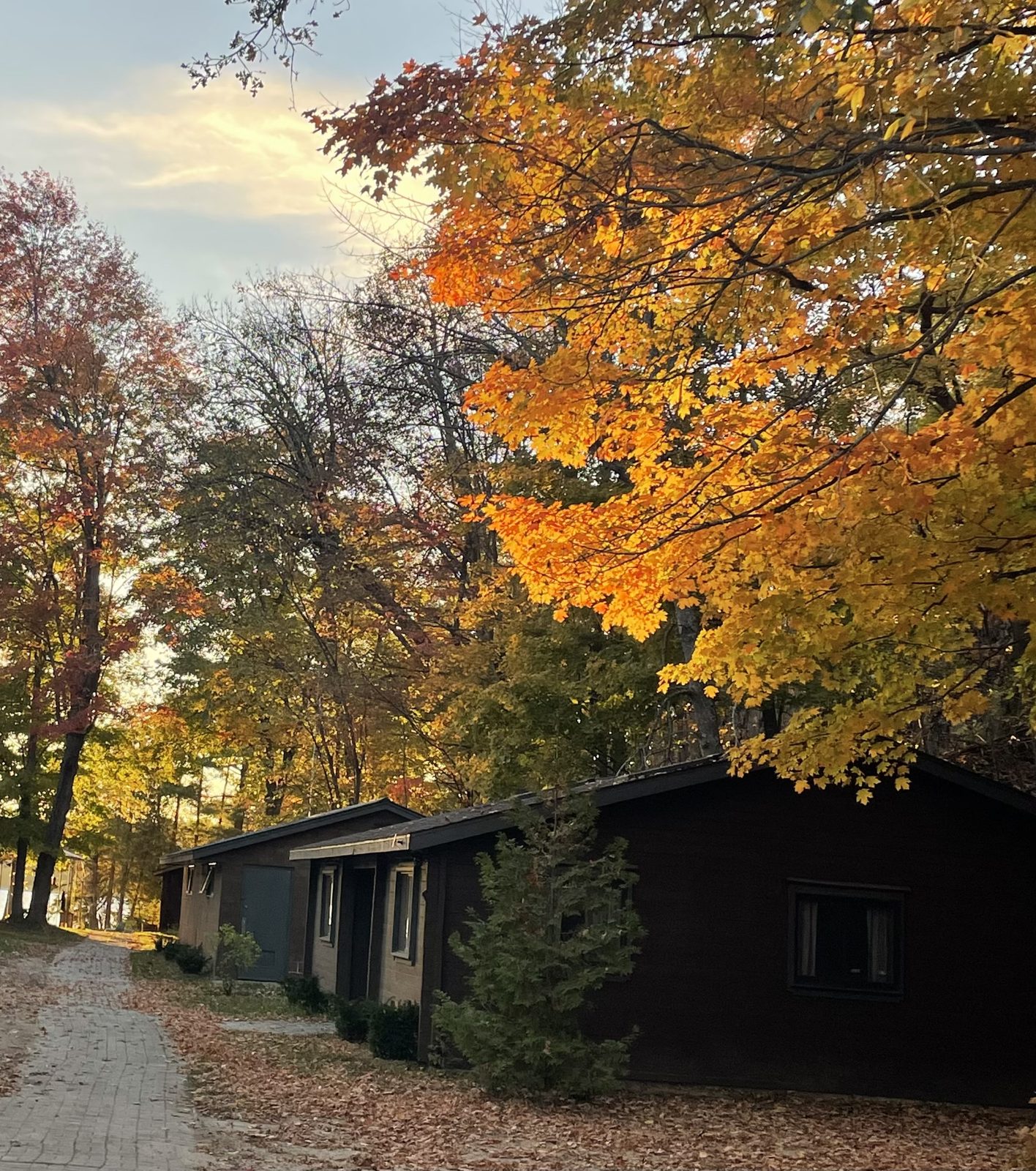 The Pines cabin exterior among autumn trees