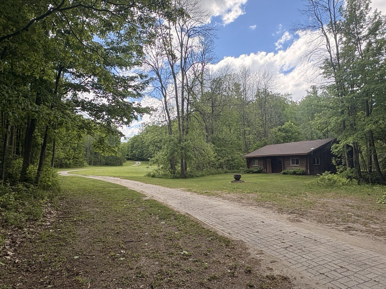 The tree-lined drive into the property
