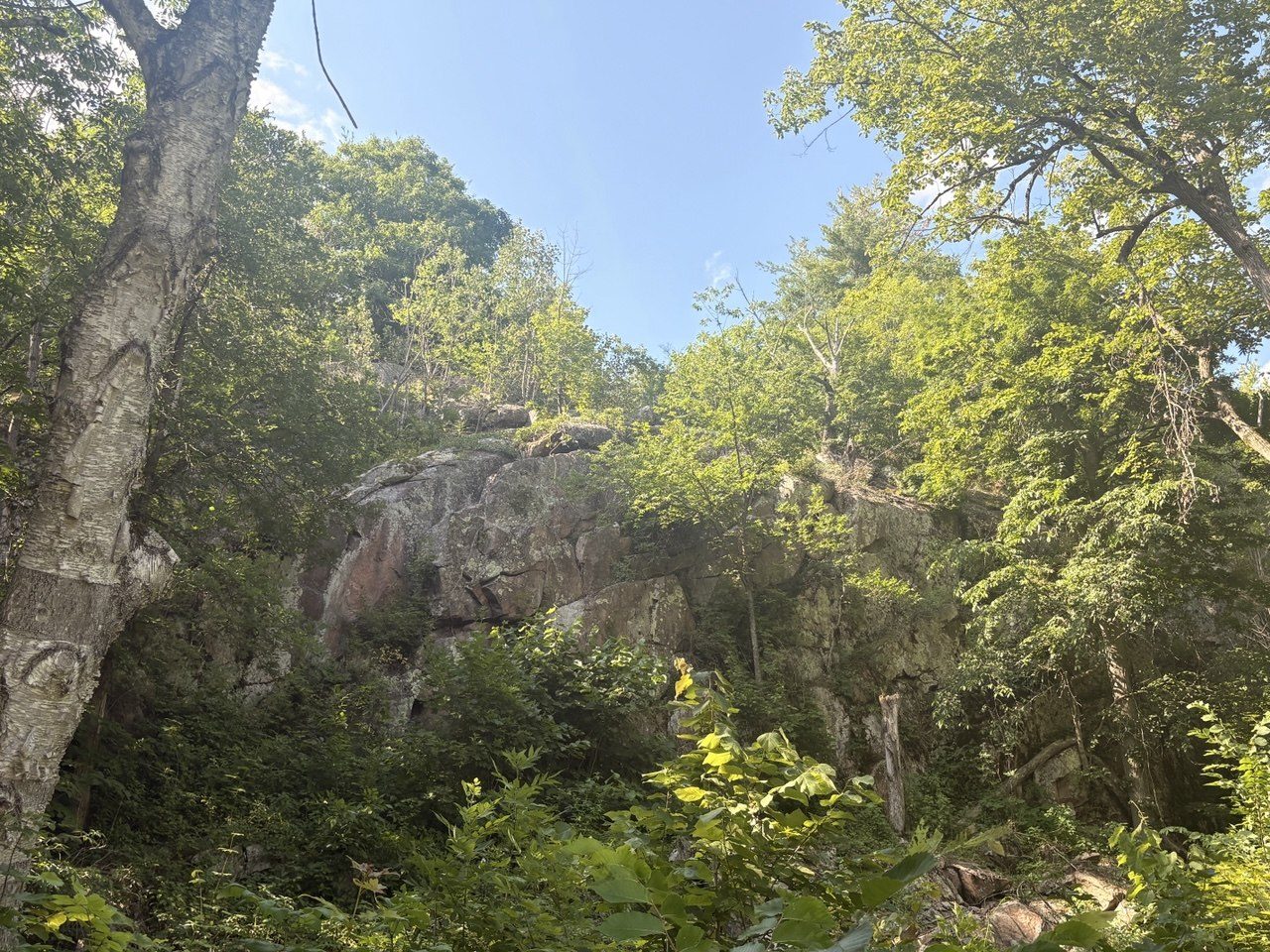 Ancient granite outcrop in the woods