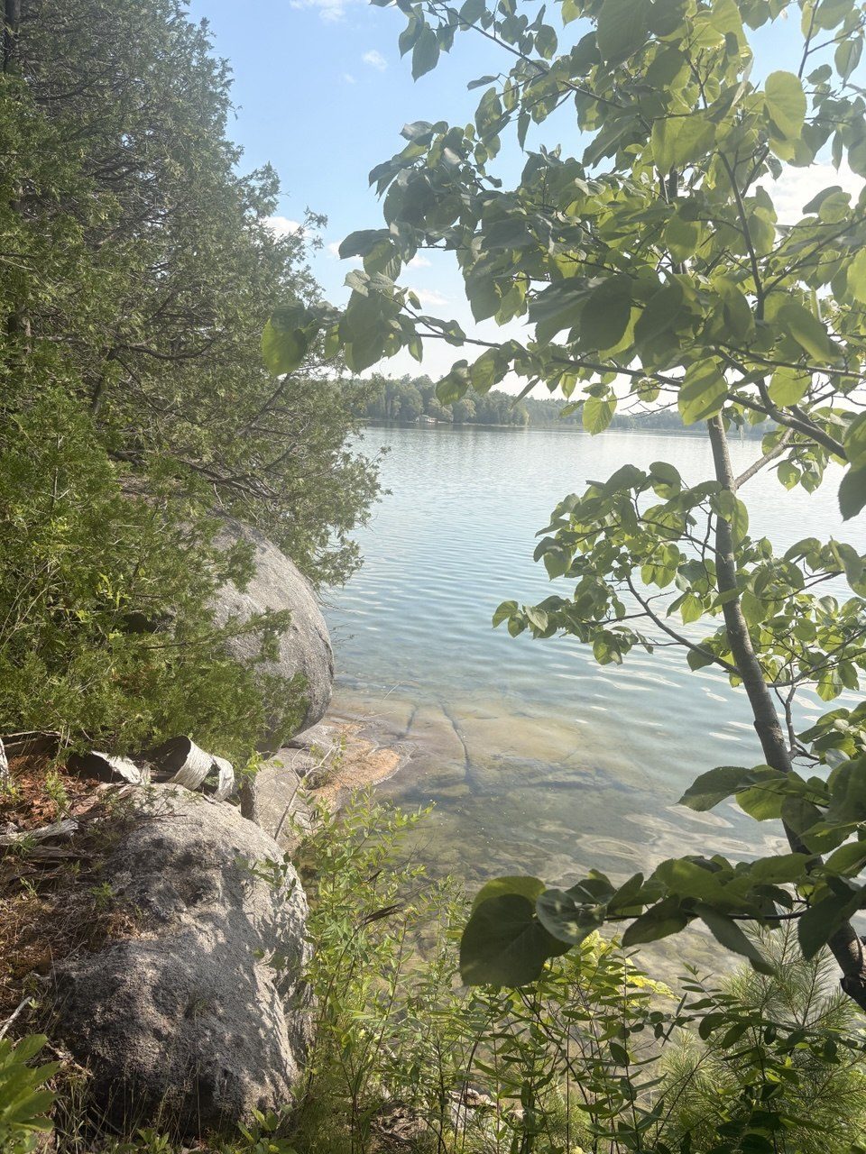 The lake framed by leaves